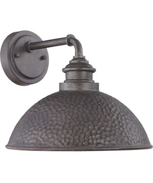 Englewood 1-Light Medium Wall Lantern Antique Pewter