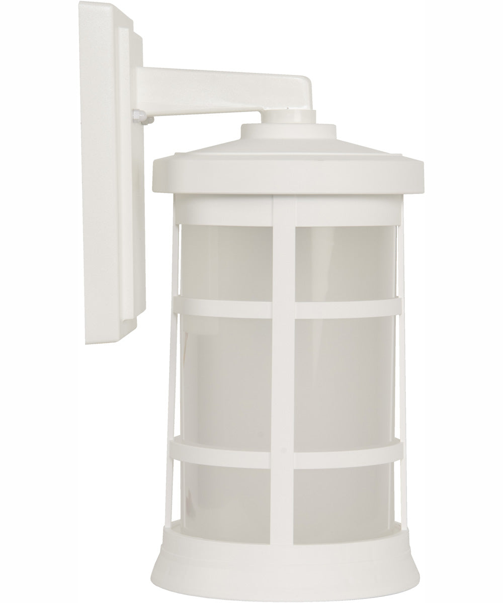 Resilience Lanterns 1-Light Outdoor Wall Lantern Matte White