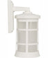 Resilience Lanterns 1-Light Outdoor Wall Lantern Matte White