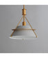 Lucas 1-Light Pendant Natural Aged Brass