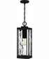 Balchier Large 1-light Outdoor Pendant Light Matte Black