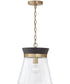 Finn 1-Light Pendant Black Stain and Matte Brass