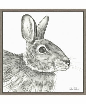 Framed Watercolor Pencil II Rabbit by Kelsey Wilson Canvas Wall Art Print (22  W x 22  H), Sylvie Greywash Frame