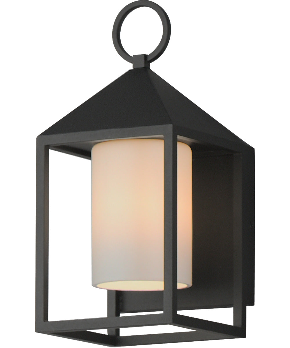 Aldous 1-Light Small Outdoor Sconce Black