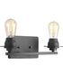 Debut 2-Light Farmhouse Bath Vanity Light Graphite