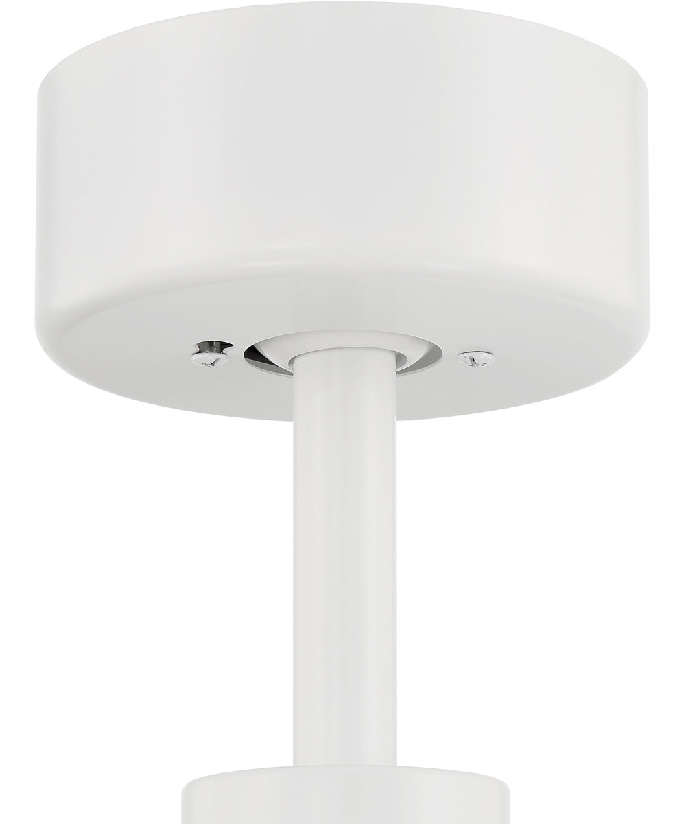 52" Terie 1-Light Ceiling Fan White