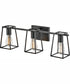Filmore 3-Light Three Light Vanity in Black