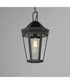 Oxford Outdoor 1-Light Pendant Black