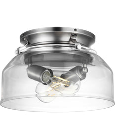 12" Springer Clear Glass Light Kit Antique Nickel