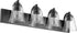 30"W 4-light Bath Vanity Light Noir
