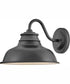 Wallace 1-Light Small Gooseneck Barn Light in Aged Zinc