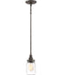 Squire Small 1-light Mini Pendant Rustic Black