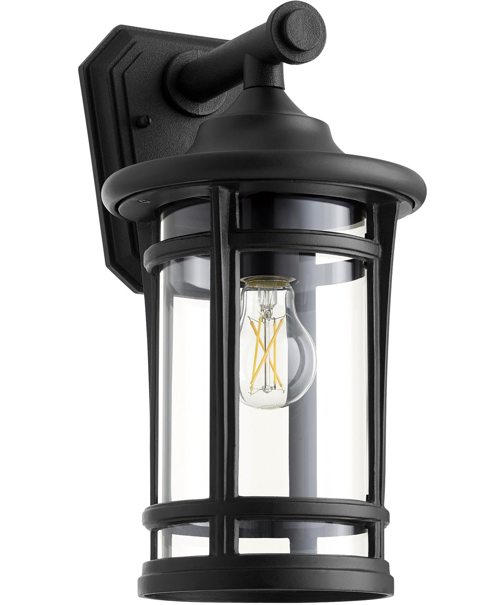 Haley 1-light Outdoor Wall Lantern Noir