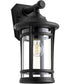 Haley 1-light Outdoor Wall Lantern Noir