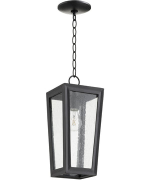 7"W Bravo 1-light Pendant Noir