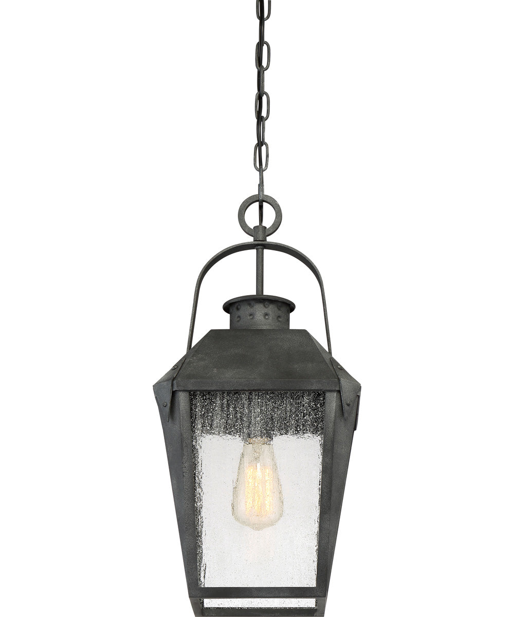 Carriage Large 1-light Outdoor Pendant Light Mottled Black