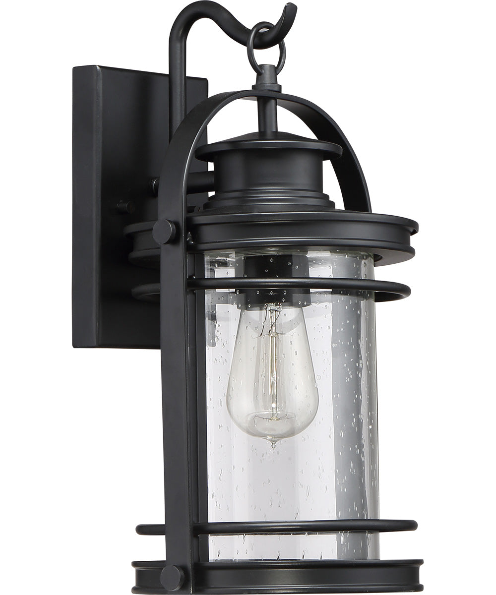 Booker Medium 1-light Outdoor Wall Light Mystic Black