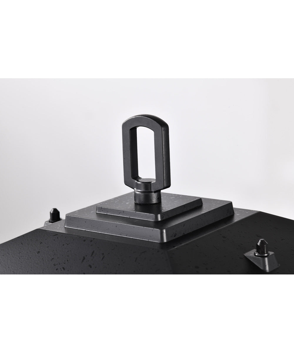 Cove Neck 1-Light Outdoor Textured Black