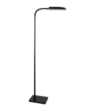 Varilum 30w LED Black Floor Lamp
