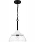 Otten 1-light Mini Pendant Matte Black