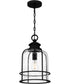 Bowles 1-light Mini Pendant Earth Black