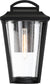 12"H Lakeview 1-Light Outdoor Aged Bronze / Clear