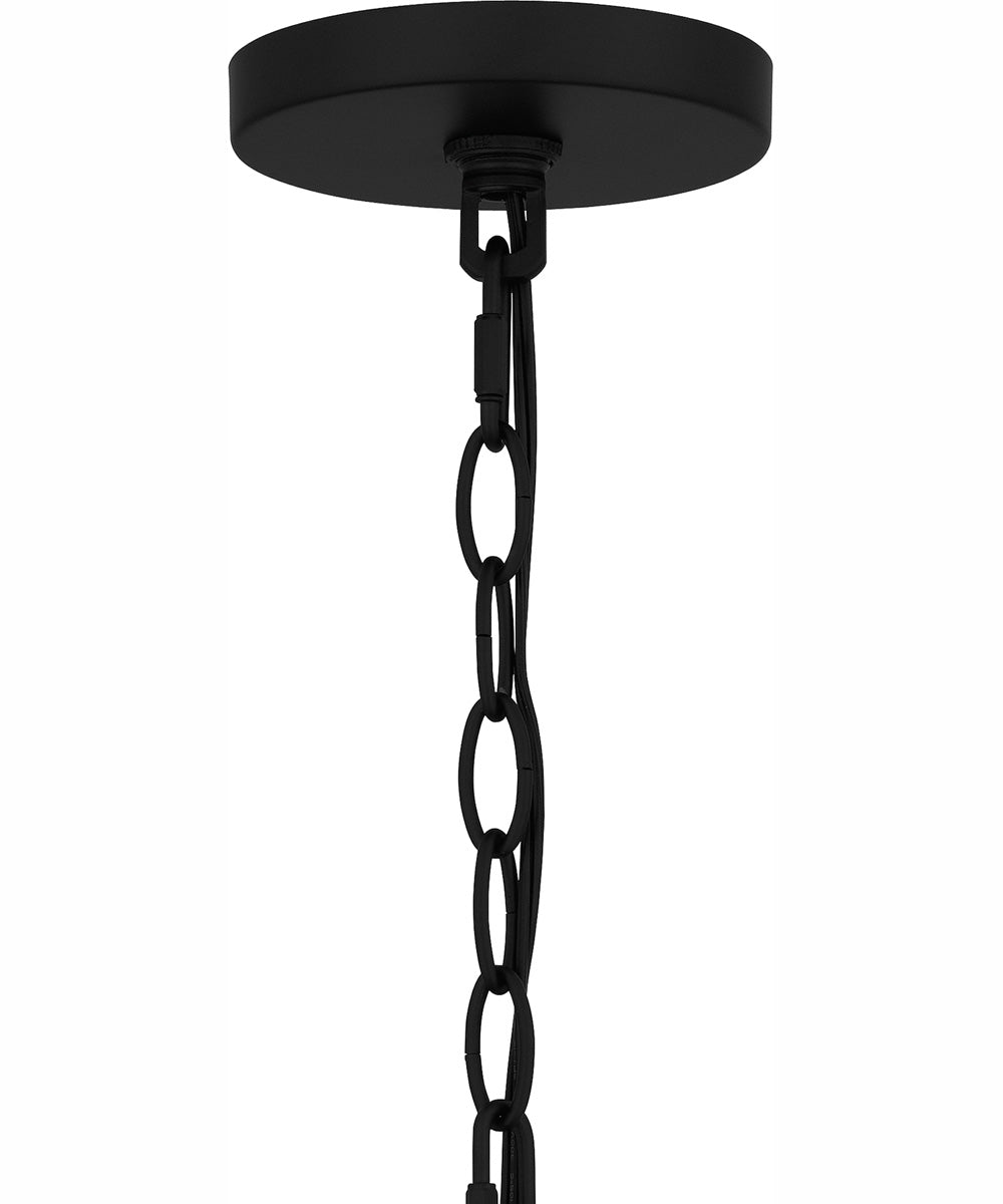 Buckley Large 1-light Outdoor Pendant Light Coastal Armour Aluminum Matte Black
