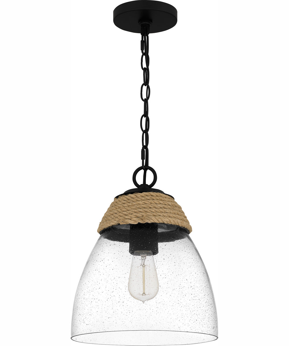 Quoizel Piccolo Pendant 1-light Mini Pendant Matte Black