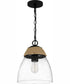 Quoizel Piccolo Pendant 1-light Mini Pendant Matte Black