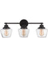 Essex 3-Light Bath Vanity Light Flat Black