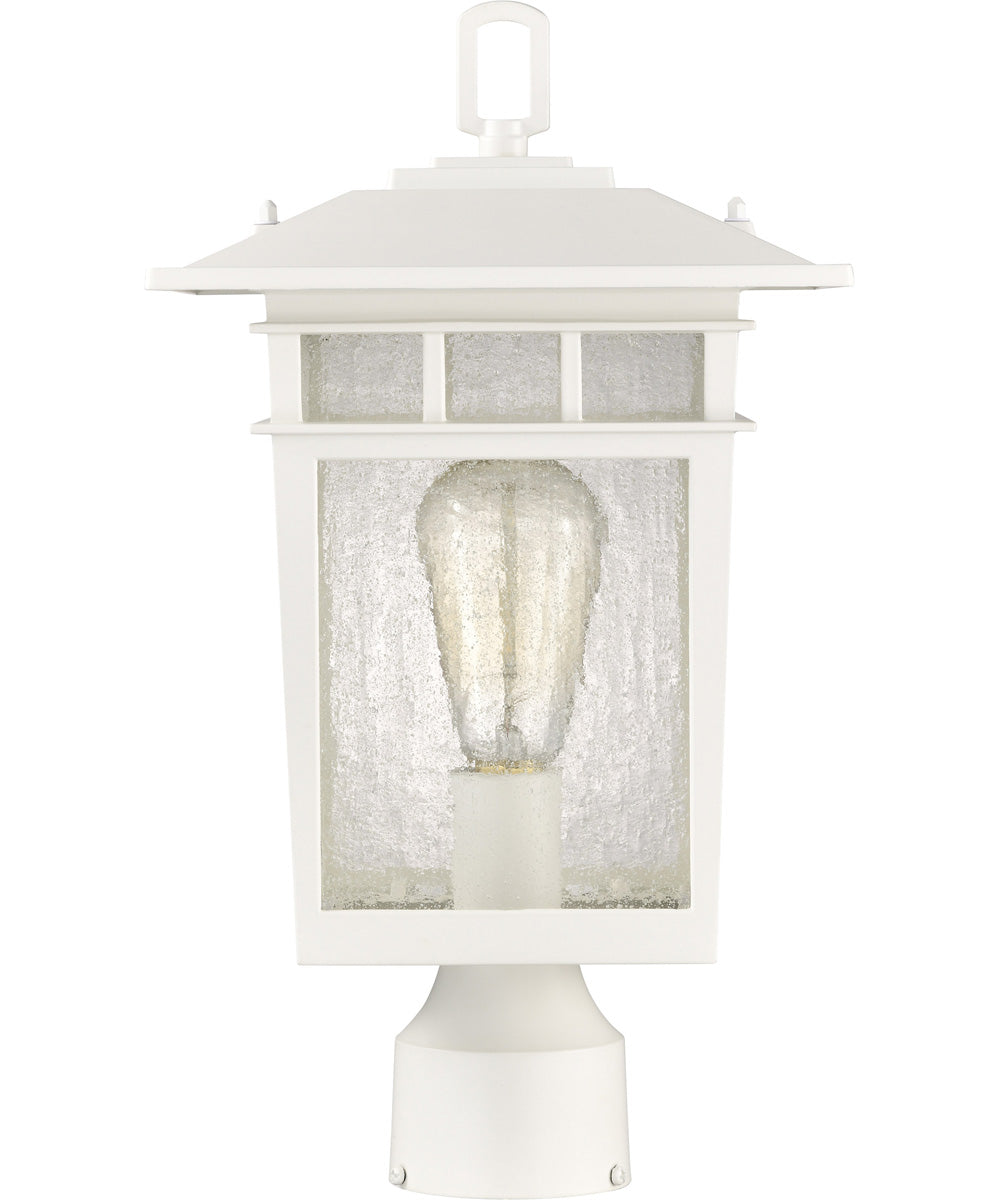 Cove Neck 1-Light Outdoor White