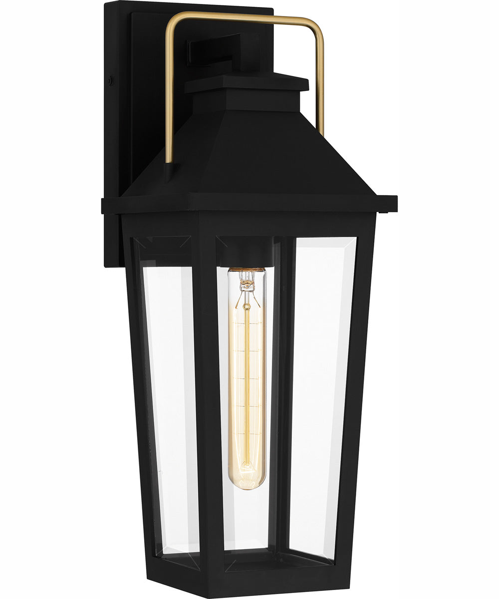 Buckley Medium 1-light Outdoor Wall Light Coastal Armour Aluminum Matte Black