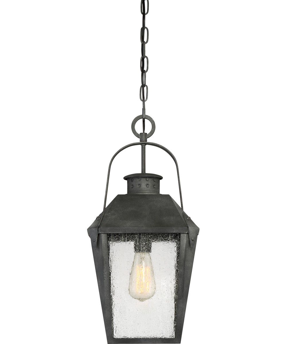 Carriage Large 1-light Outdoor Pendant Light Mottled Black
