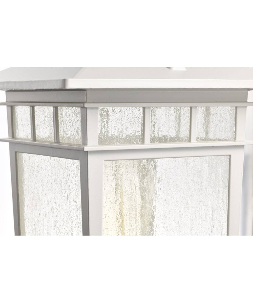 Cove Neck 1-Light Outdoor White