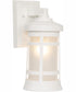 Resilience Lanterns 1-Light Outdoor Wall Lantern Matte White