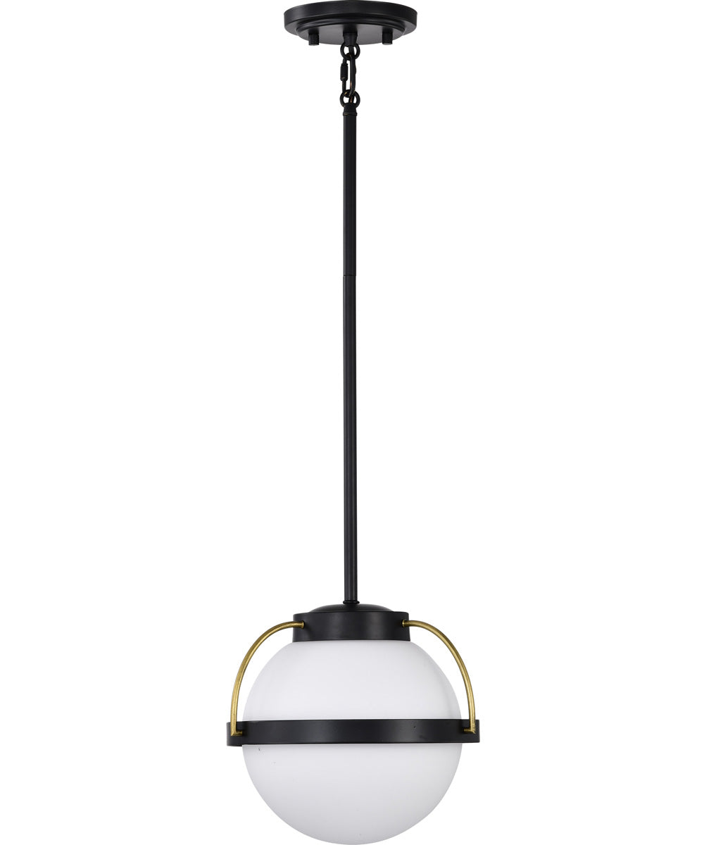 Lakeshore 1-Light Pendant Matte Black
