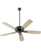 Ceiling Fans with Remotes