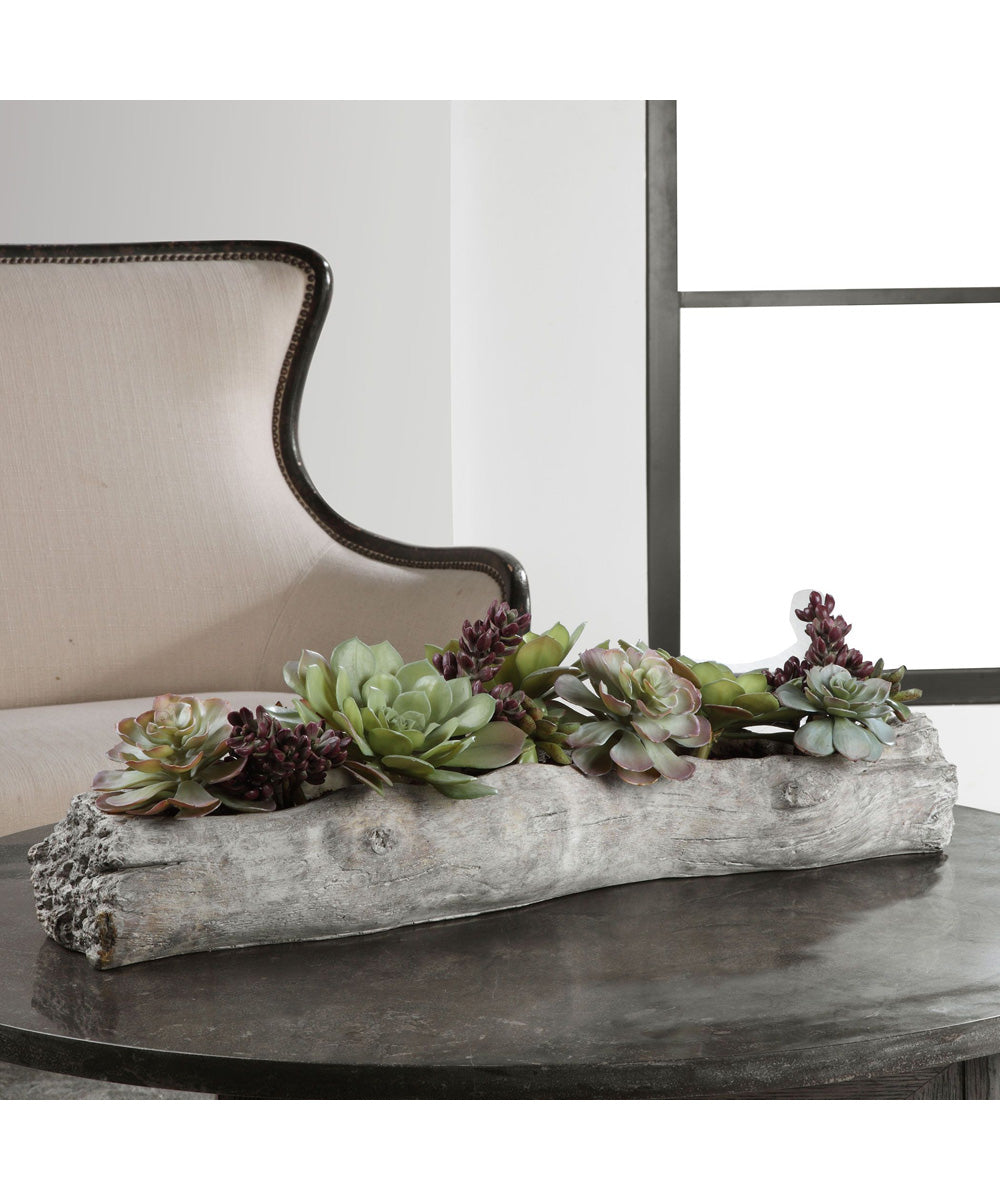 Charita Lush Succulents