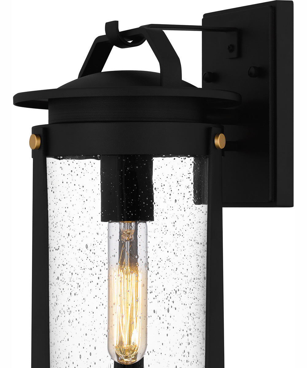 Clifton Medium 1-light Outdoor Wall Light  Coastal Armour Aluminum Earth Black