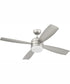 52" Sebastion 2-Light Indoor/Outdoor Ceiling Fan Painted Nickel