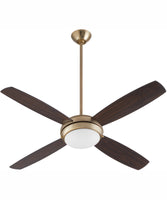 Ceiling Fans with Lights