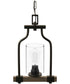 Barnes Mill 1-Light Clear Seeded Glass Farmhouse Mini-Pendant Light Antique Bronze
