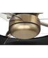 Taylor 24" 1-Light Ceiling Fan (Blades Included) Flat Black/Satin Brass