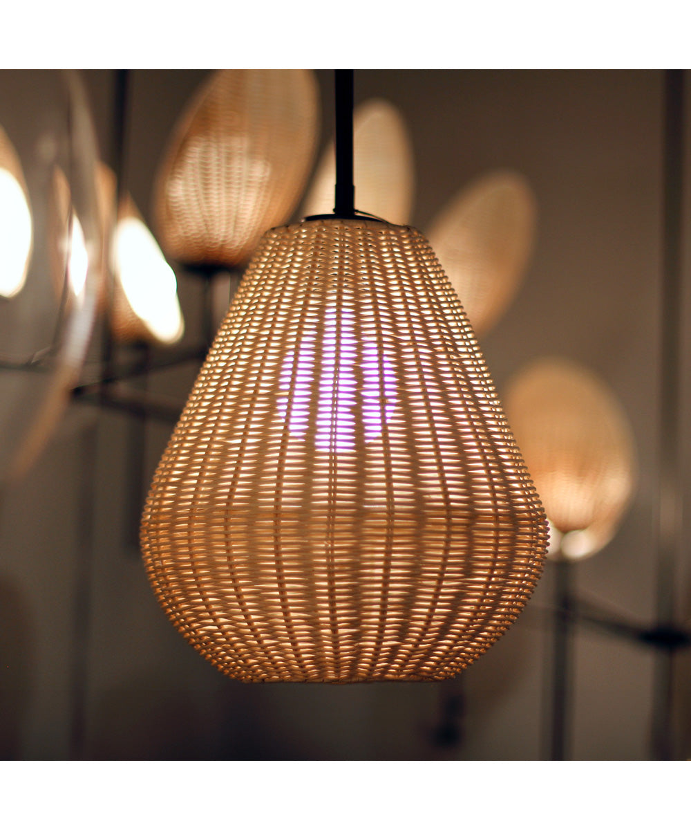 Maldives 1-Light Pendant Black