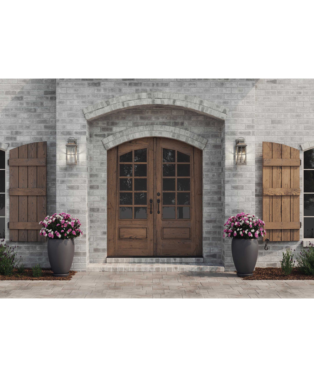 Williamston 1-Light Clear Glass Transitional Style Large Outdoor Wall Lantern Antique Pewter