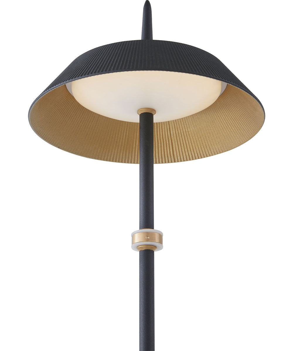 Santa Monica  LED  Floor Lamp Black / Gold