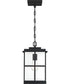 Mulligan Small 1-light Mini Pendant Matte Black