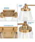 Hinton 4-Light Clear Seeded Glass Farmhouse Bath Vanity Light Vintage Brass