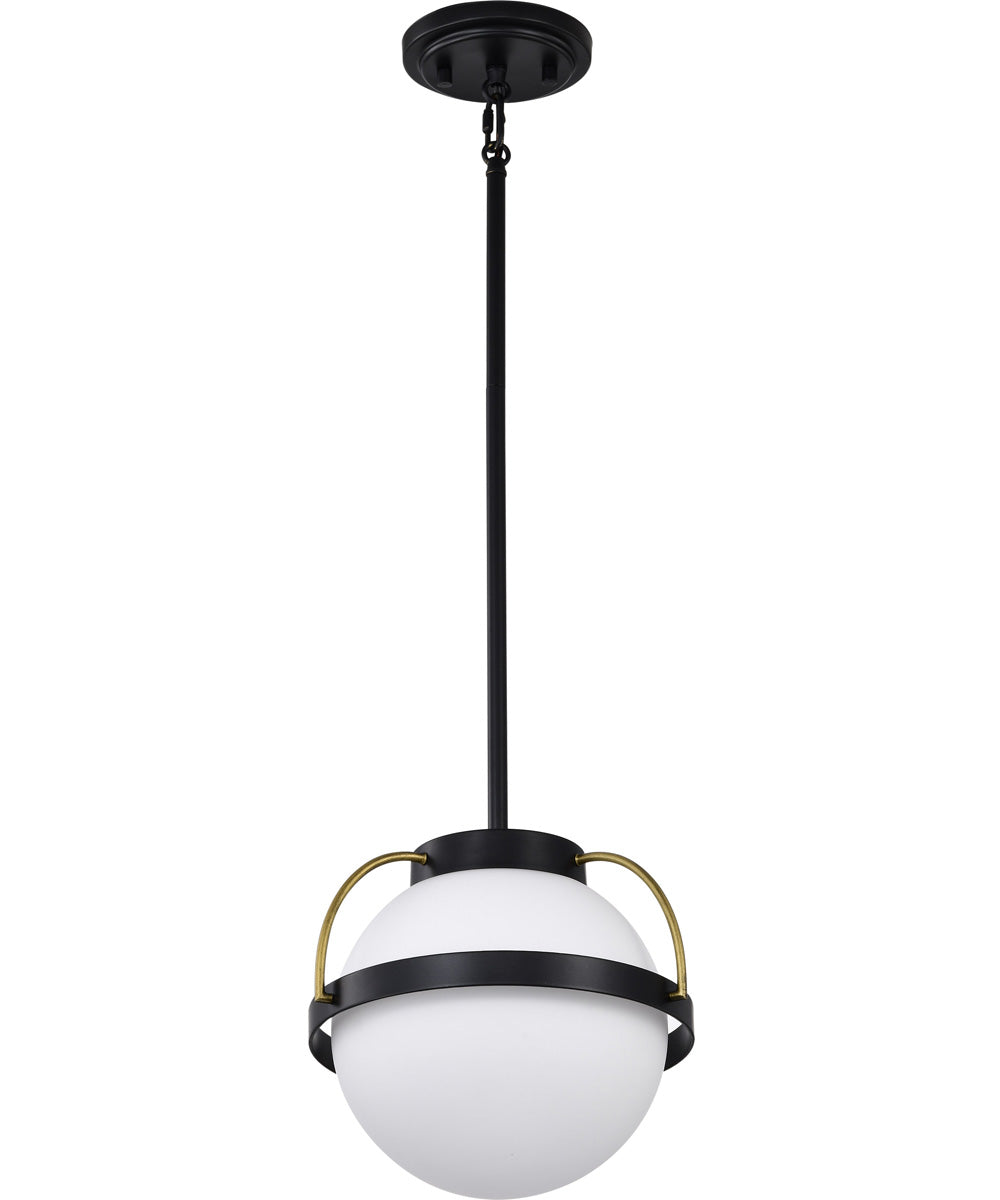 Lakeshore 1-Light Pendant Matte Black
