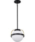 Lakeshore 1-Light Pendant Matte Black